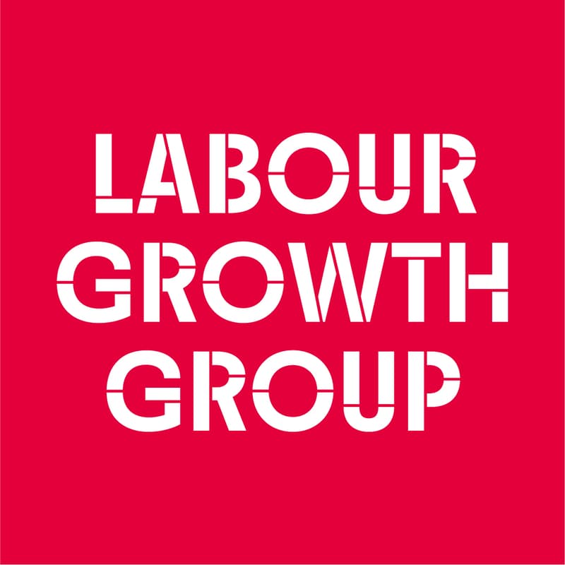 Cover Image for Backing the Grafters: Britain's New Political Economy