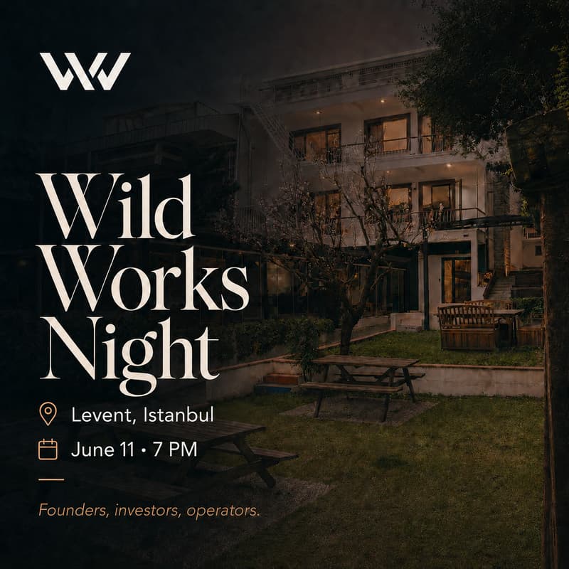 Cover Image for Wild Works Night