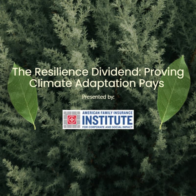 Cover Image for The Resilience Dividend: Proving Climate Adaptation Pays, by American Family Institute for Corporate and Social Impact