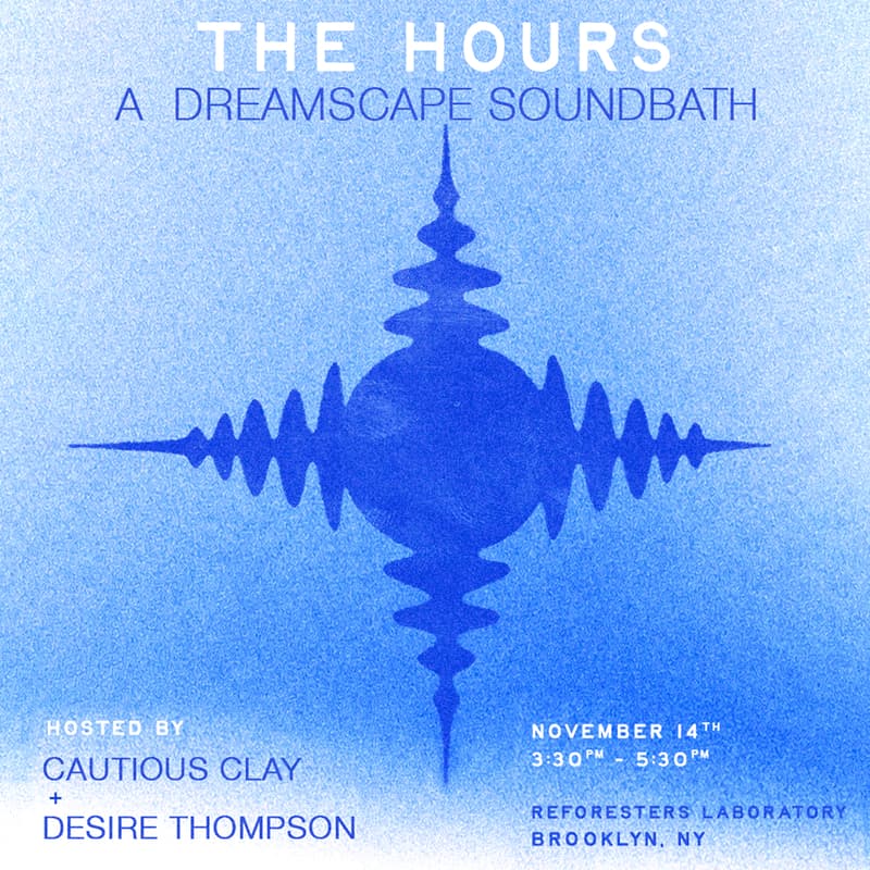 Cover Image for The Hours: A Dreamscape Soundbath
