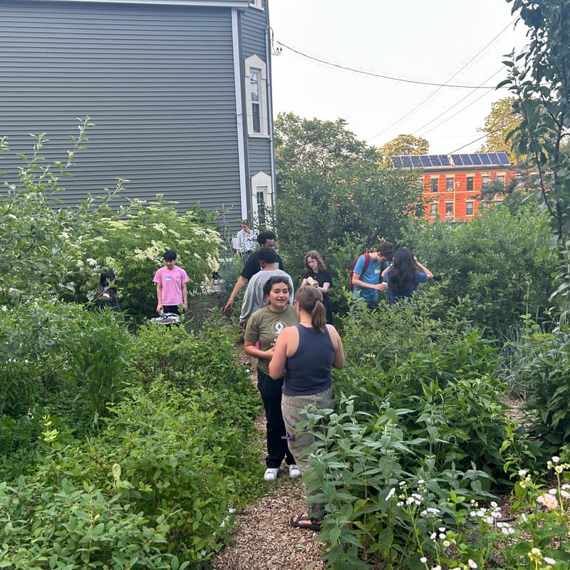 Cover Image for Uphams Corner Food Forest Season Opening Party