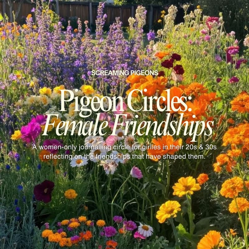 Cover Image for Pigeon Chats: Female Friendships (The Good, The Bad & The Ugly)