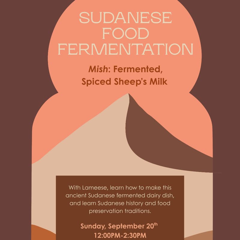 Cover Image for Sudanese Food Fermentation: Mish