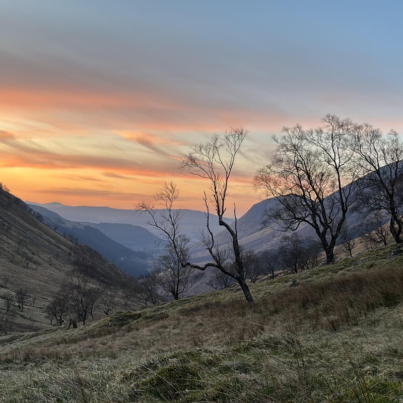Cover Image for Mindfulness for Health (online course)