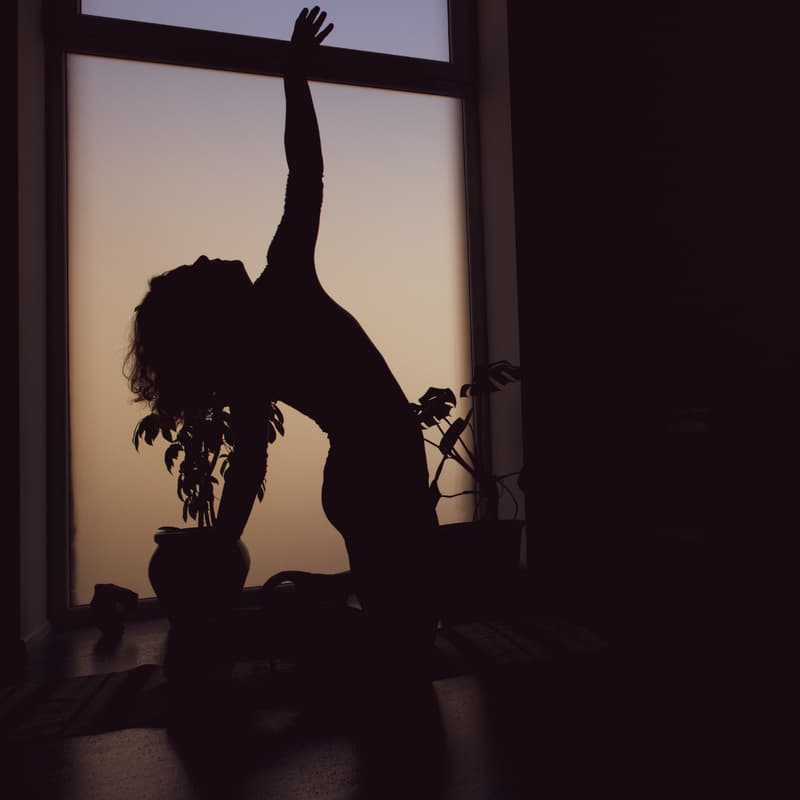 Cover Image for Embodying our Shadows