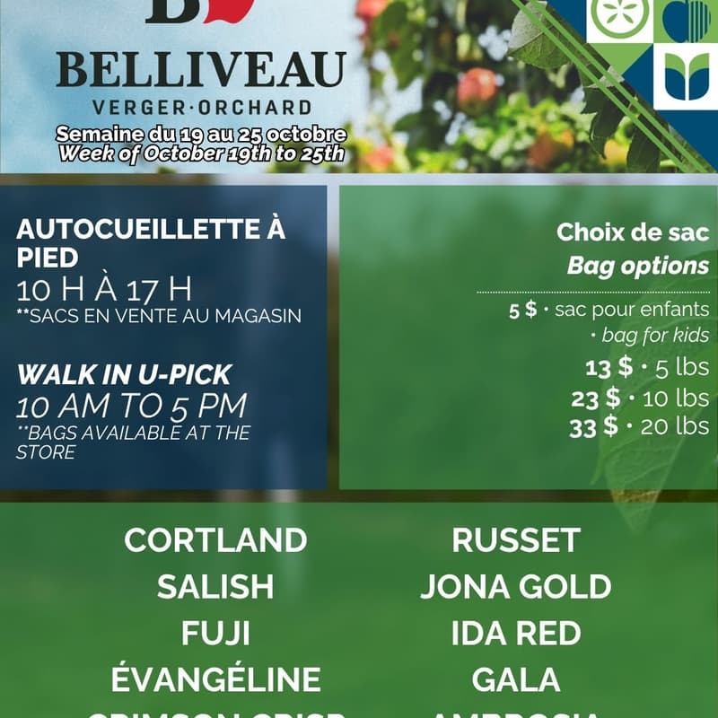 Cover Image for Pick & Connect / Cueillir et connecter