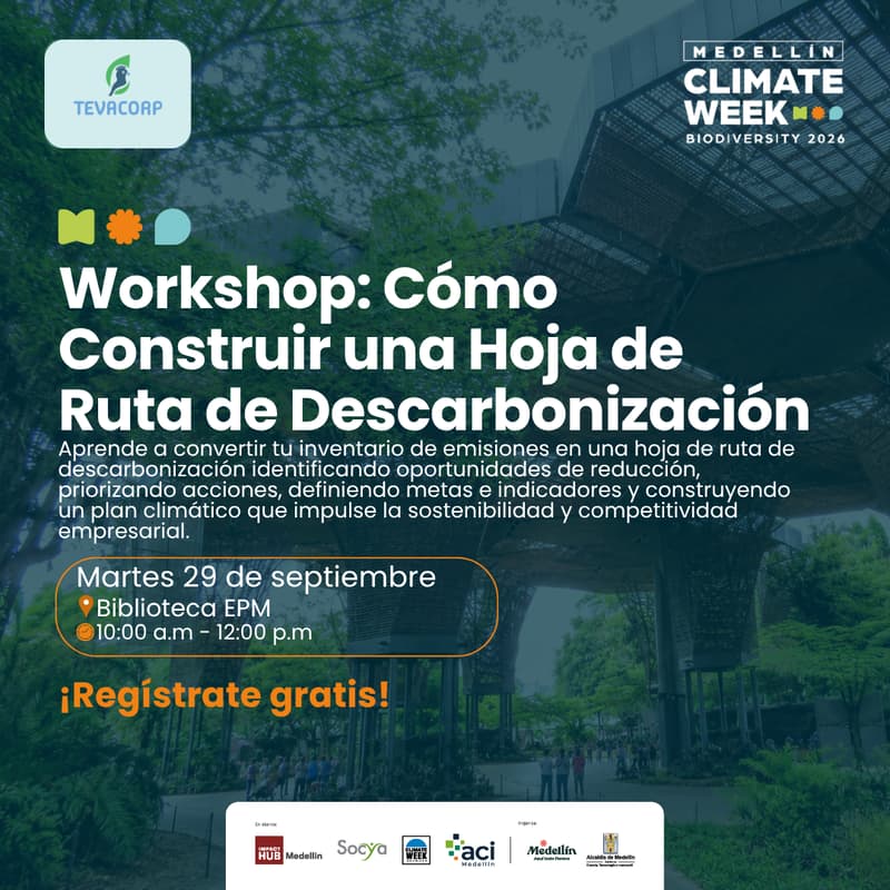Cover Image for Cómo Construir una Hoja de Ruta de Descarbonización