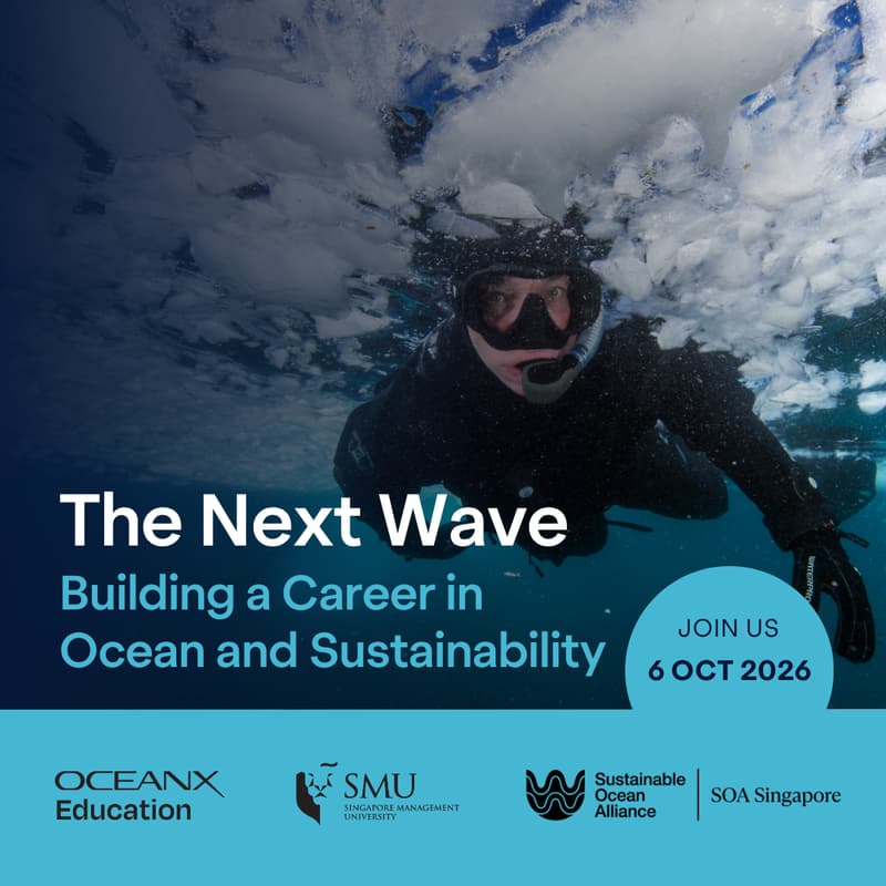 Cover Image for The Next Wave: Building a Career in Ocean and Sustainability