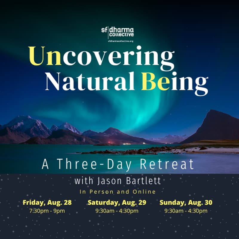 Cover Image for Uncovering Natural Being