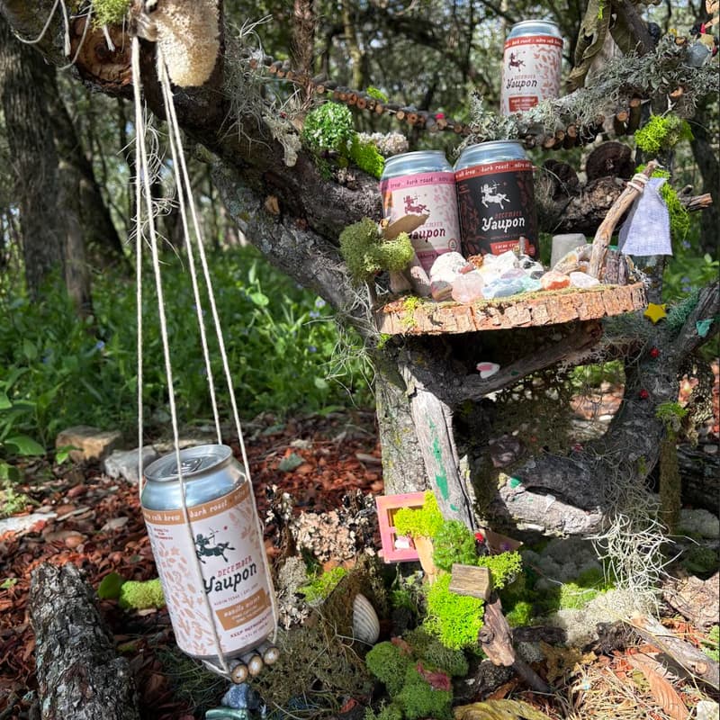 Cover Image for Yaupon Yap - Tasting and Foraging