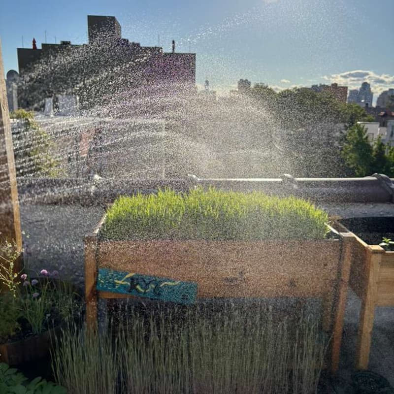 Cover Image for Gardening on the Roof - Spring '26 Season