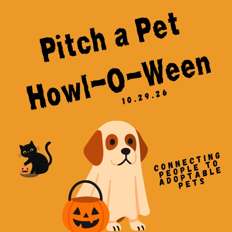 Cover Image for Pitch a Pet: Howl-O-Ween