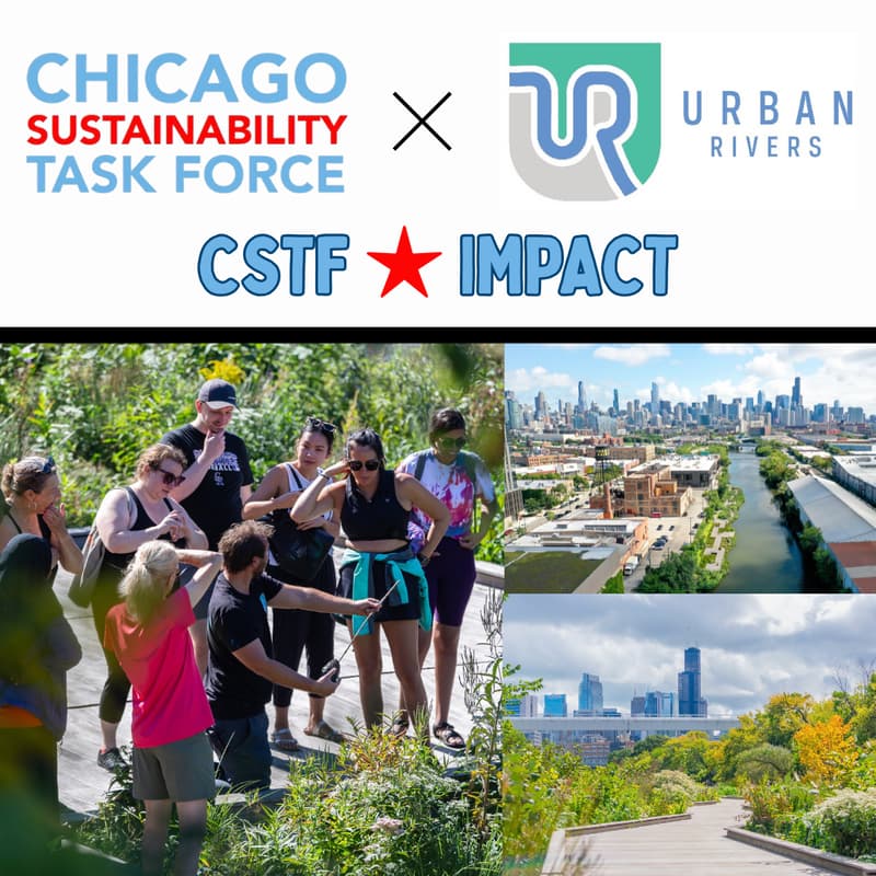 Cover Image for CSTF★IMPACT at The Wild Mile