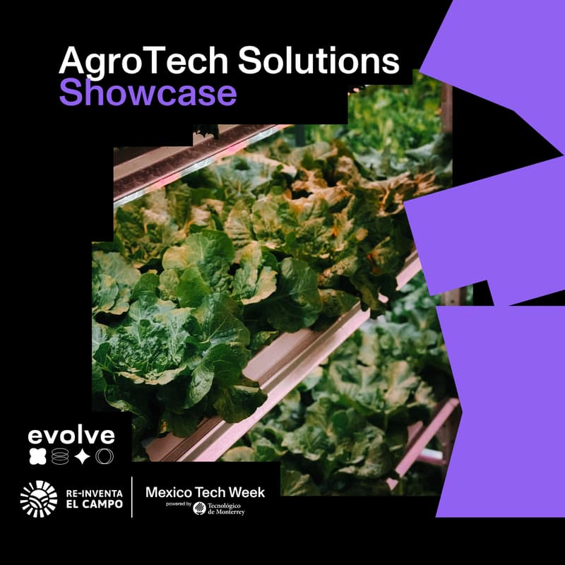 Cover Image for AgroTech Solutions Showcase