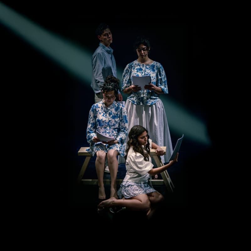 Cover Image for Obra de teatro: Las Pascualas