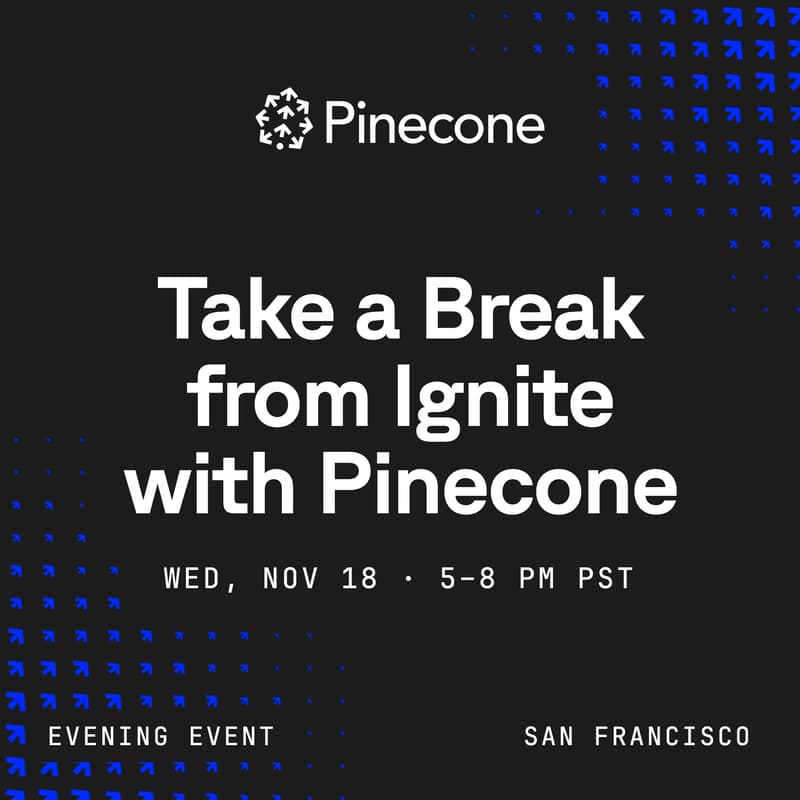 Cover Image for Take a Break from Ignite with Pinecone!