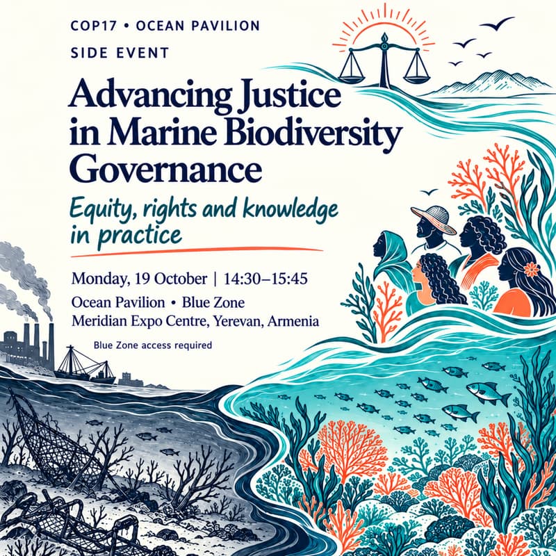 Cover Image for Advancing Justice in Marine Biodiversity Governance