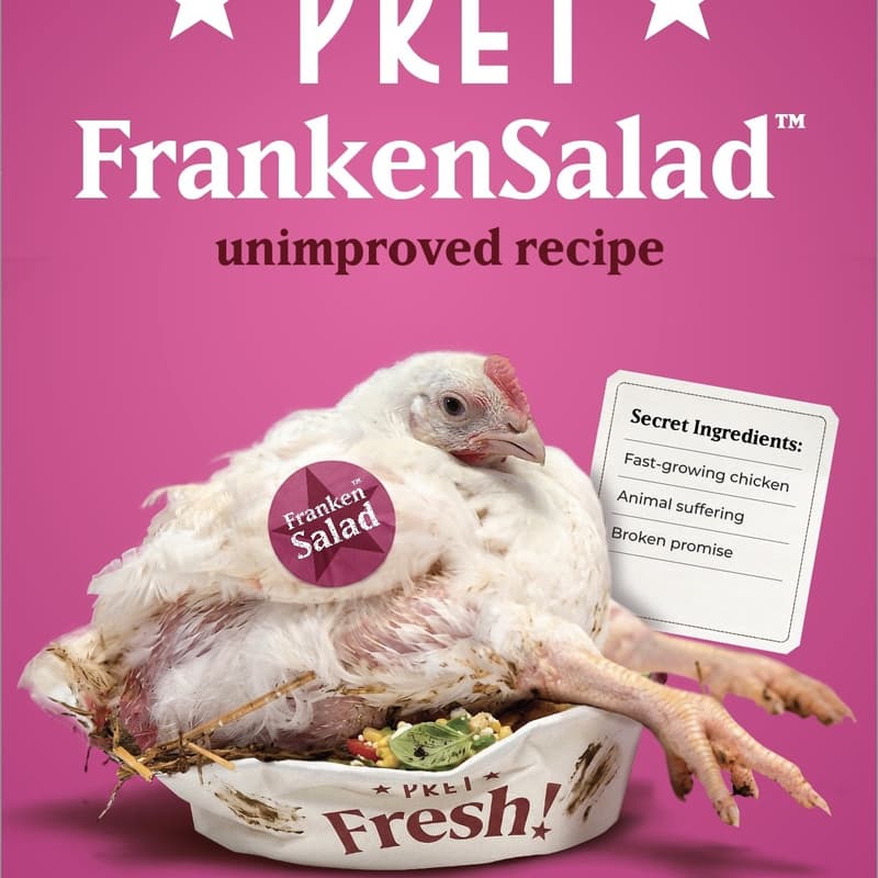 Cover Image for Take action against frankenchicken
