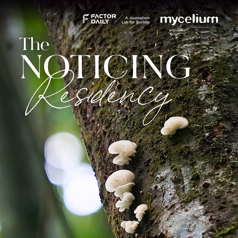Cover Image for The Noticing Residency with Pankaj Mishra - September Cohort