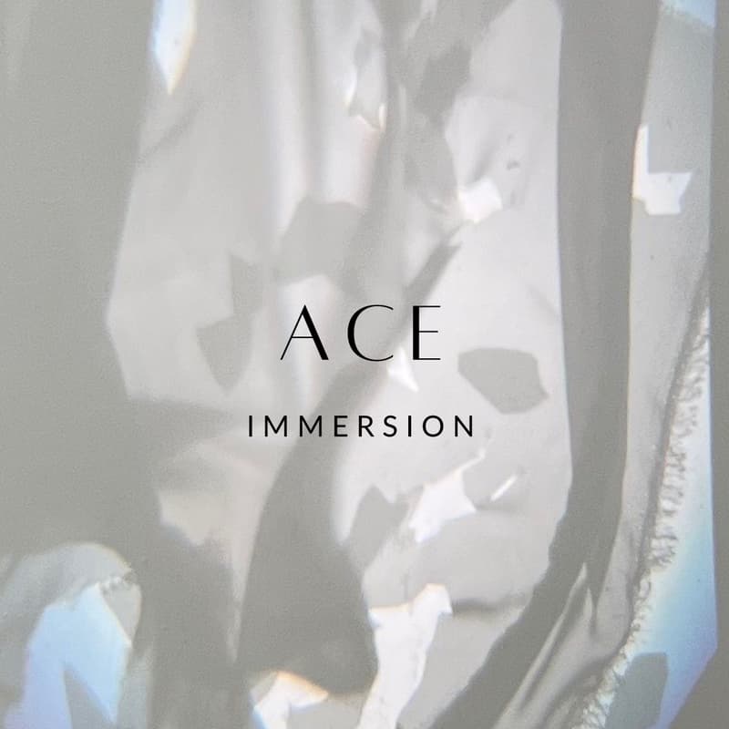 Cover Image for ACE IMMERSION EXHIBITION