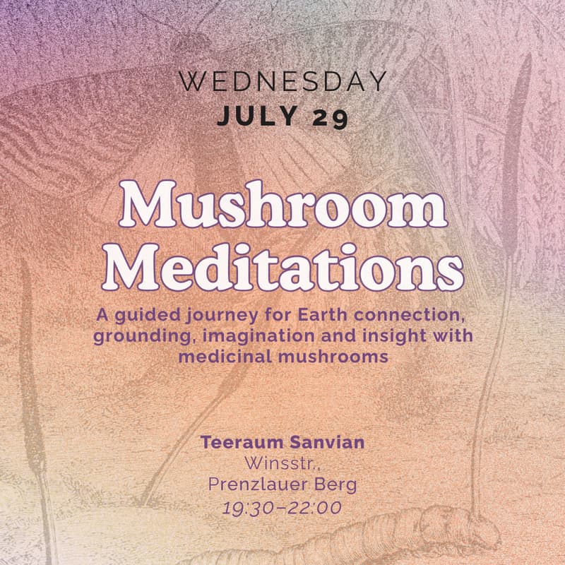 Cover Image for Mushroom Meditations: A guided journey for Earth connection, imagination and insight