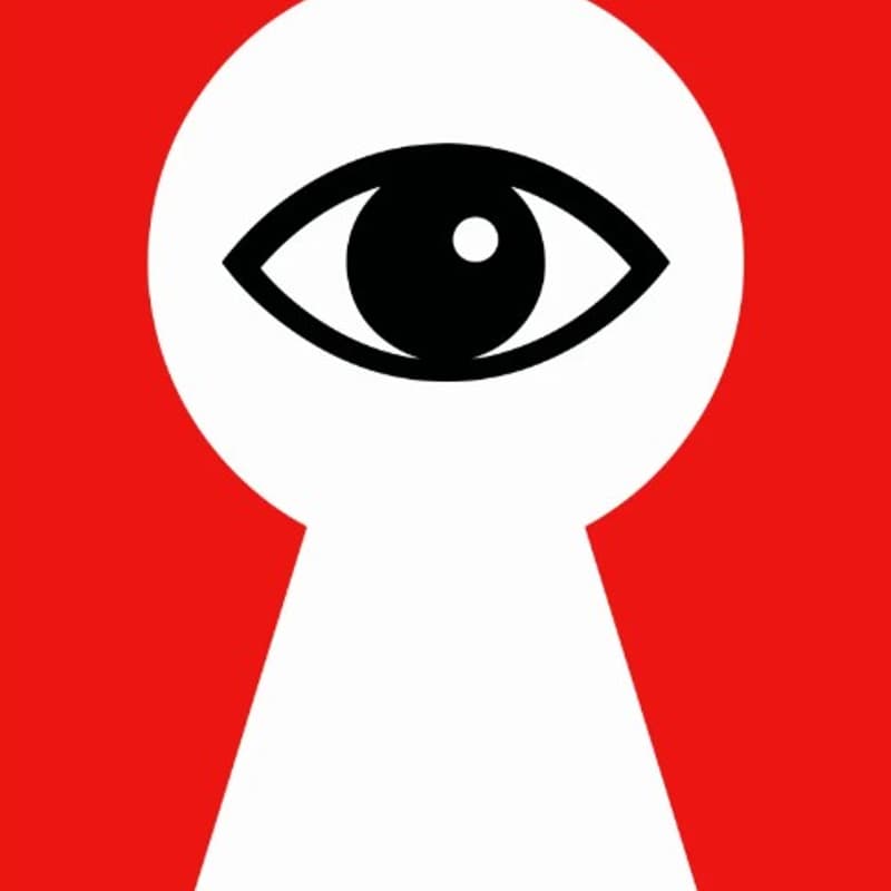 Cover Image for The Eyeball Kick: Experiment with Language and Form