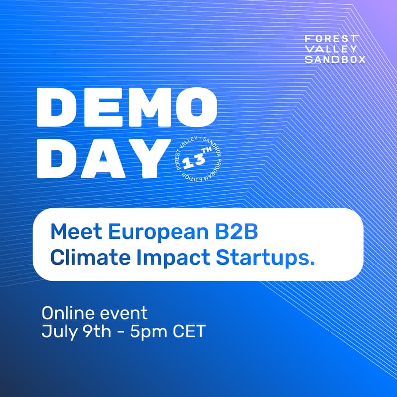 Cover Image for Sandbox Demo Day - Batch 13