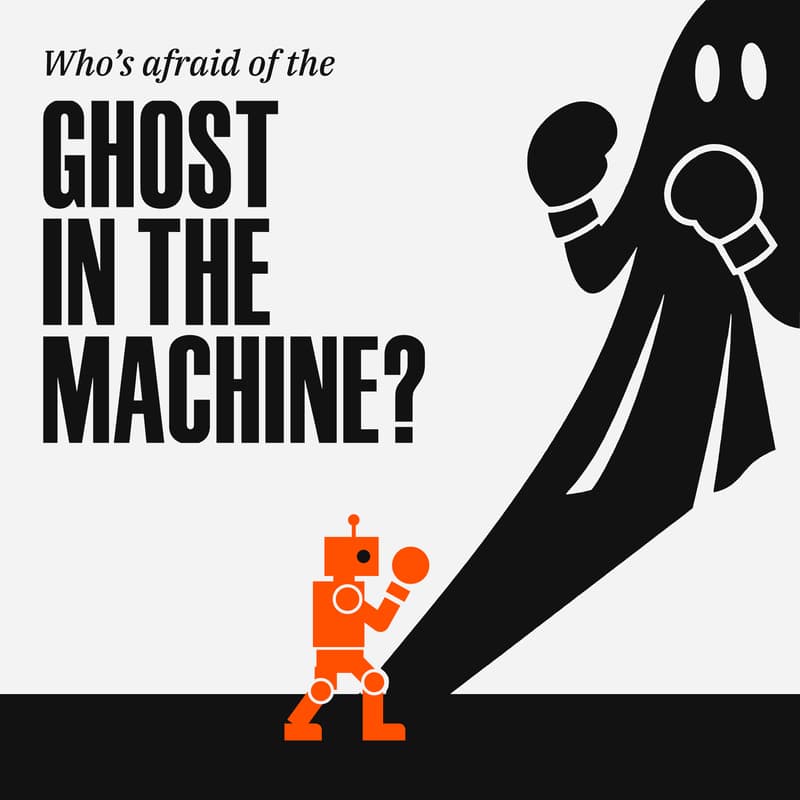 Cover Image for Who’s Afraid of the Ghost in the Machine? Sibarium v Hammond...