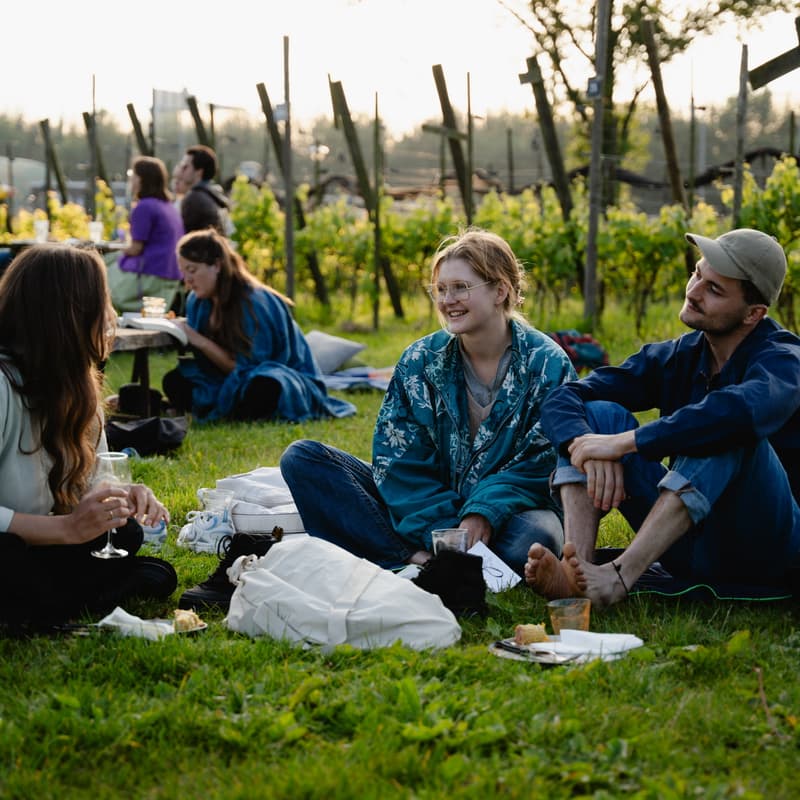 Cover Image for Community Exclusive Offline Hangout: Sunset Picnic 🌇🌳