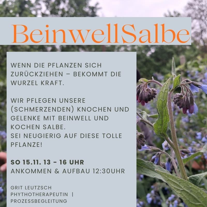 Cover Image for BEINWELL-KÜCHE