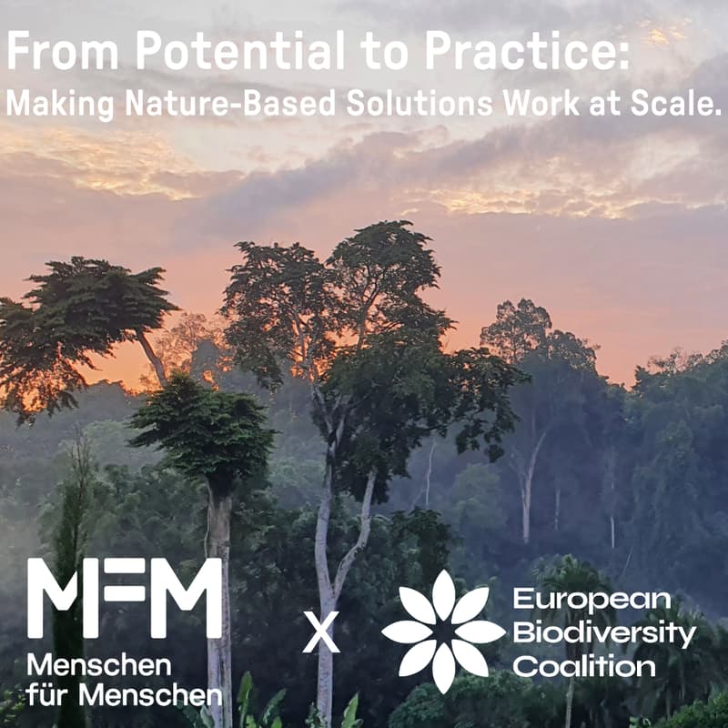 Cover Image for From Potential to Practice: Making Nature-Based Solutions Work at Scale.