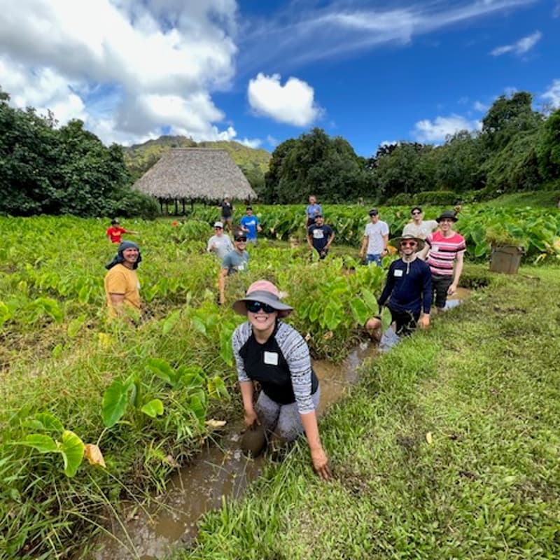 Cover Image for "Hold to Reset": Volunteer day at Hoʻokuaʻāina