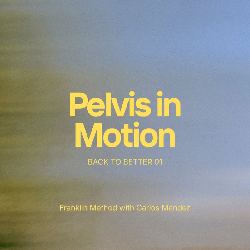 Cover Image for BACK TO BETTER 01 — Pelvis in Motion