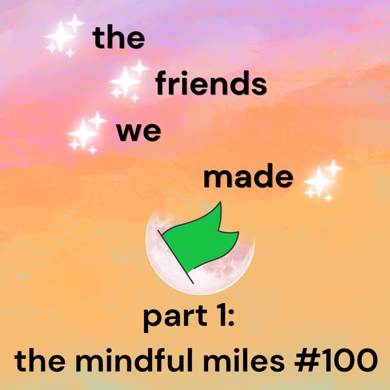 Cover Image for THE FRIENDS WE MADE part 1: the mindful miles