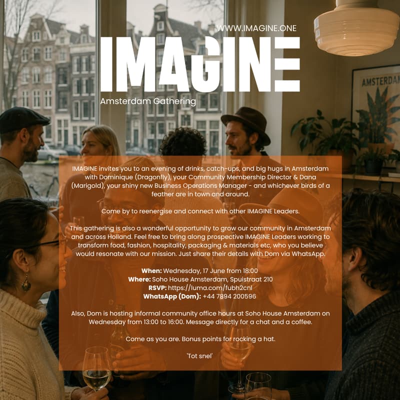 Cover Image for IMAGINE Amsterdam Gathering
