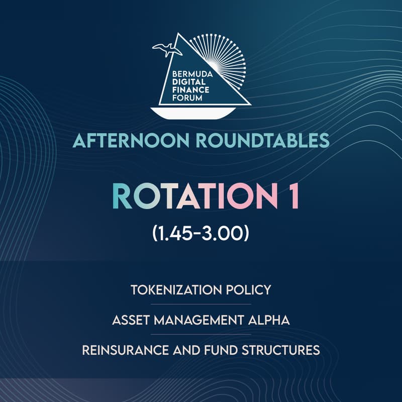 Cover Image for Digital Finance Forum Roundtable: Rotation 1 (1:45-3:00)