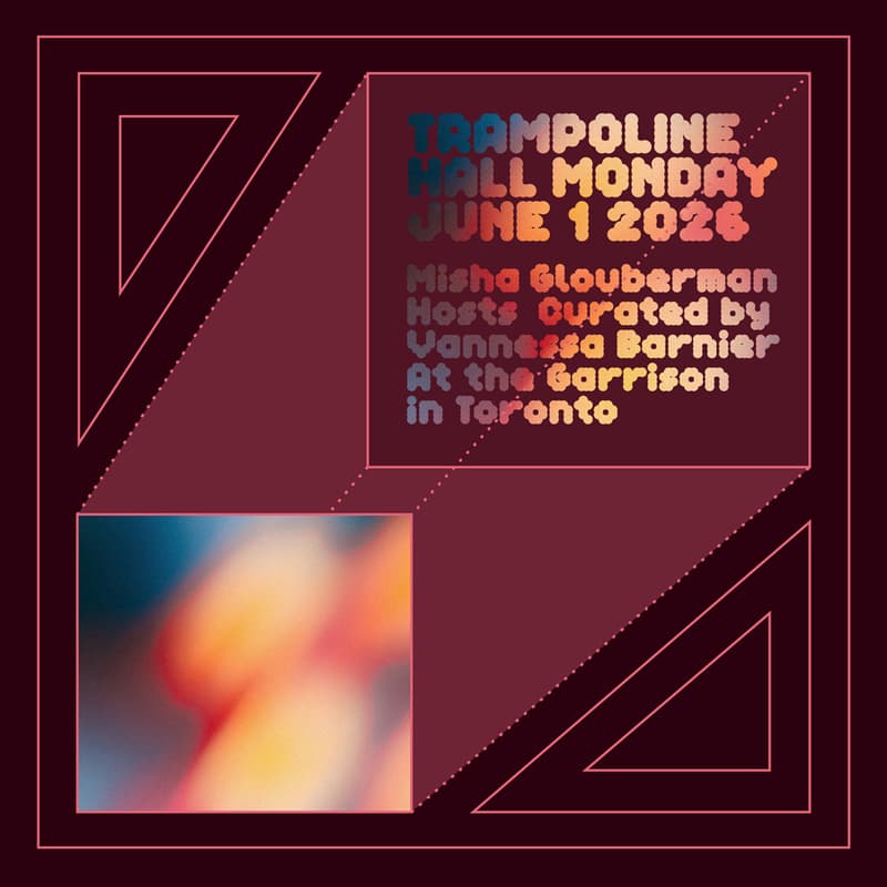 Cover Image for The Trampoline Hall Lecture Series