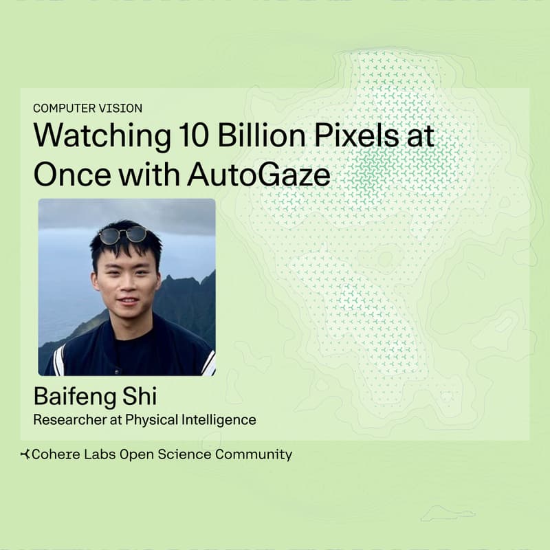 Cover Image for Baifeng Shi - Watching 10 Billion Pixels at Once with AutoGaze