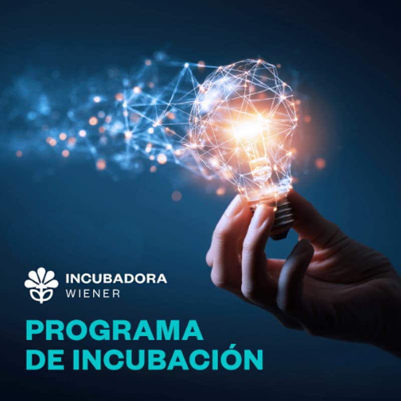 Cover Image for Convocatoria Programa de Incubación Startup Wiener 2026-II