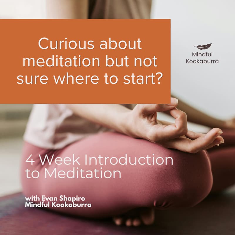 Cover Image for Introduction to Meditation