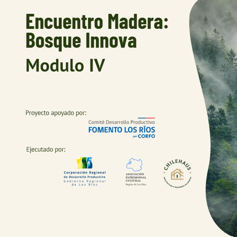 Cover Image for Taller IV Bosque Innova