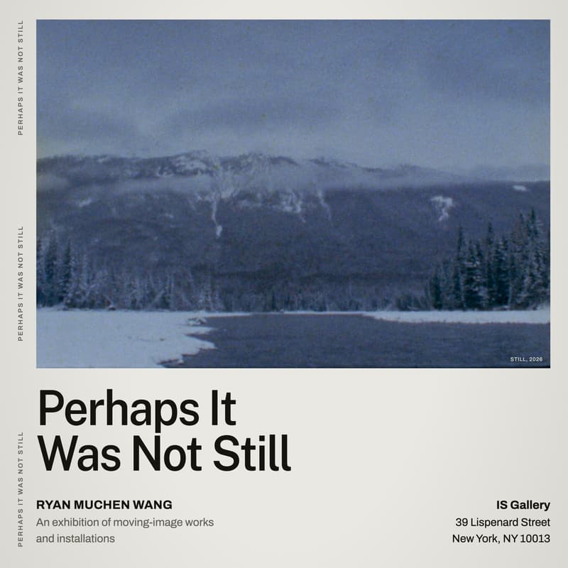 Cover Image for Opening Reception - Perhaps It Was Not Still