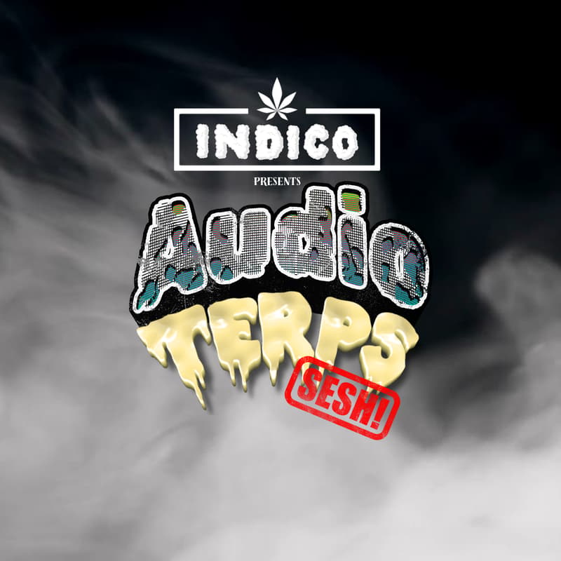 Cover Image for INDICO x ELEV8 Private Event | 21+