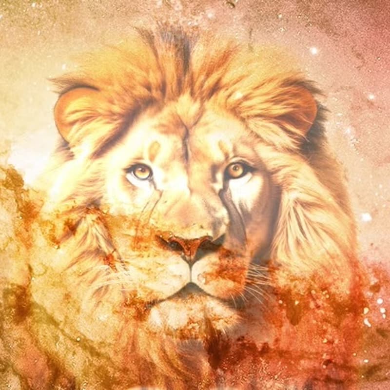 Cover Image for Lion’s Gate portal in 2026
