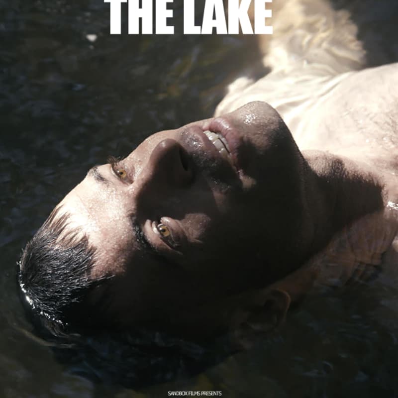 Cover Image for Last Call for the Lake