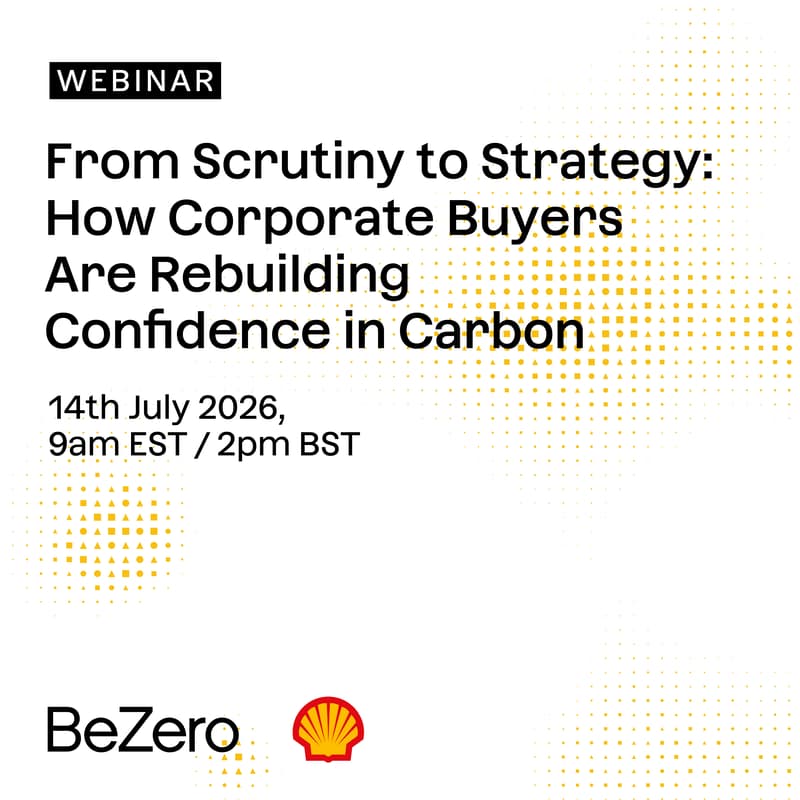 Cover Image for From Scrutiny to Strategy: How corporate buyers are rebuilding confidence in carbon