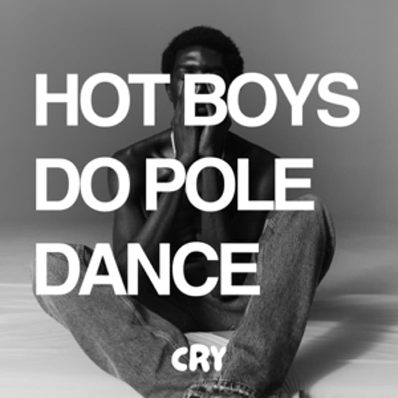 Cover Image for HOT BOYS DO POLE DANCE - Beginner‘s class (men-only)