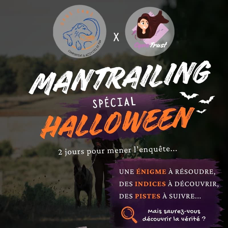 Cover Image for Stage Mantrailing Halloween avec Opus Cani