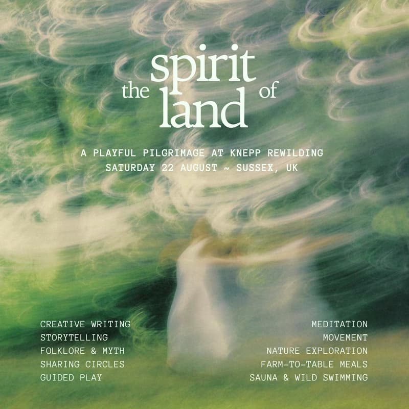 Cover Image for THE SPIRIT OF LAND: A Playful Pilgrimage in the Sussex Countryside at Knepp Rewilding