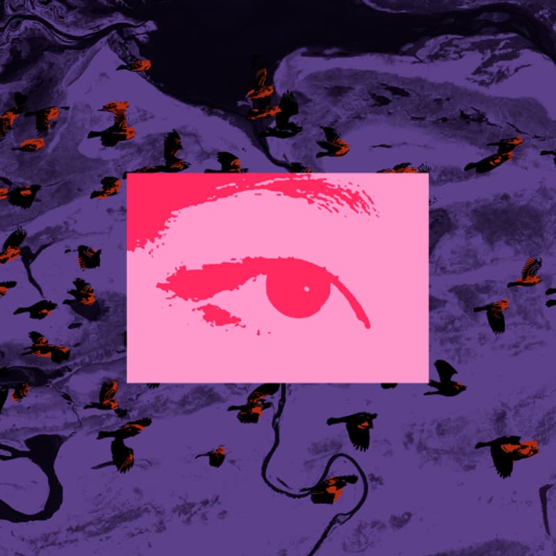 Cover Image for πΎπ« Open House #3 by Blackbird Foundation